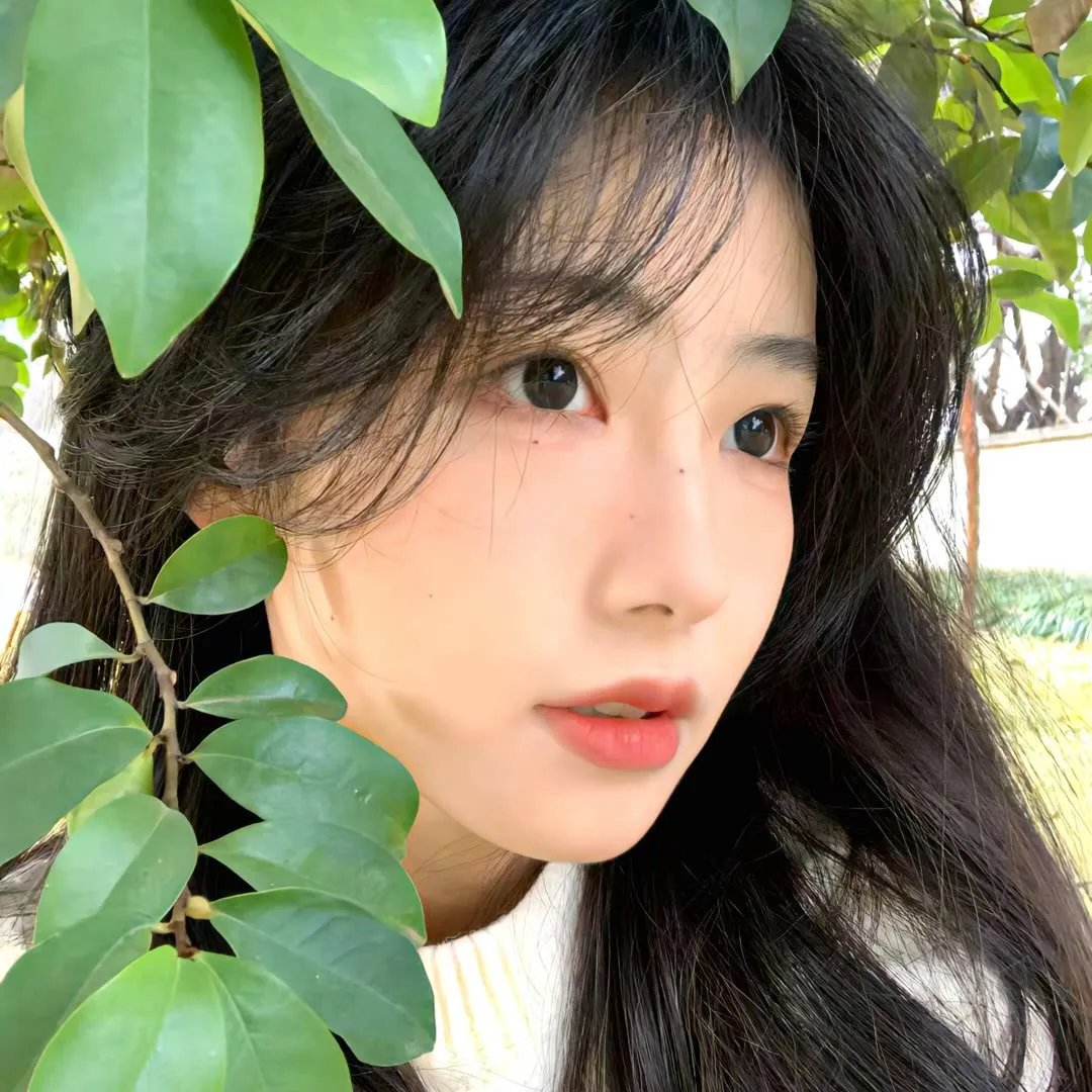 浩哥爱情故事